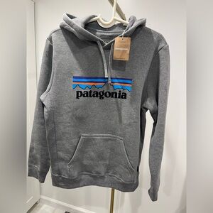 NWT Patagonia Hoodie